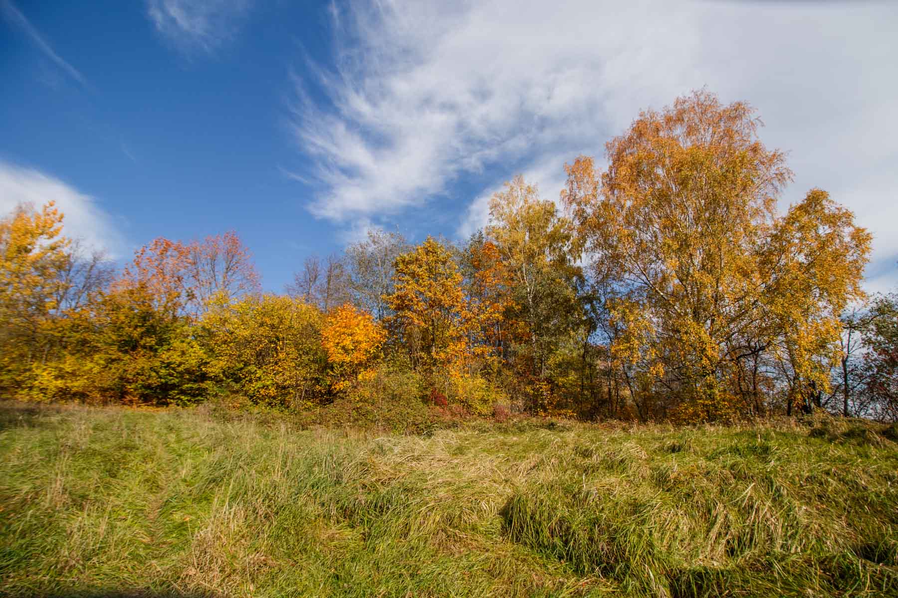 Orai Šakiuose 20min. tikslumu Orai Kas Vyksta